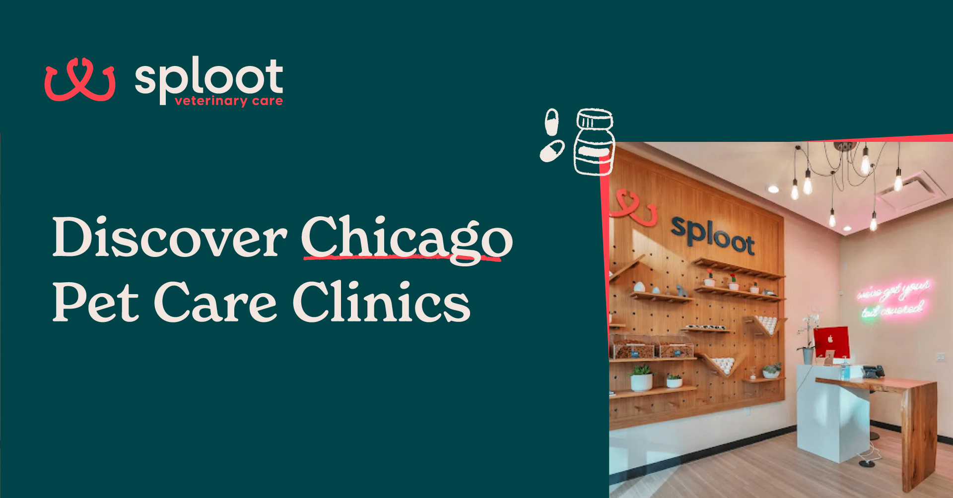 Chicago Veterinarian Sploot Veterinary Care